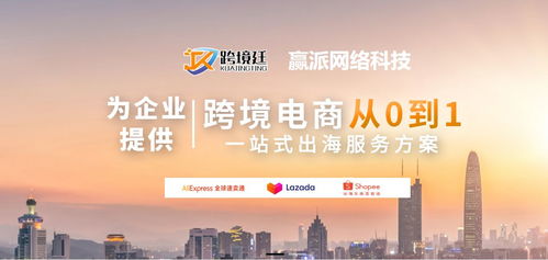 跨境廷·贏派網絡科技 全球化數字戰略的卓越伙伴