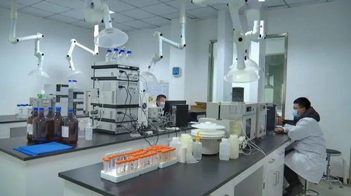 優(yōu)化營商環(huán)境與服務(wù)質(zhì)量 何平調(diào)研市公共資源交易中心與公共檢測中心